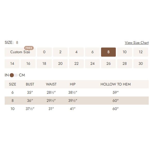 AW BRIDAL SZ 8 M champane Edwina floral formal Party maxi dress NEW B25 - Picture 5 of 5